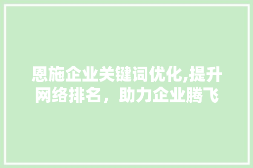 恩施企业关键词优化,提升网络排名，助力企业腾飞 必应SEO