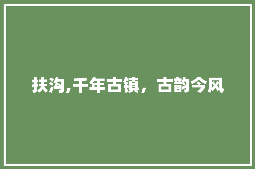 扶沟,千年古镇，古韵今风 网站建设公司