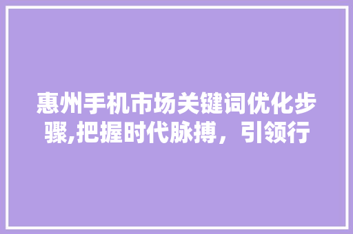 惠州手机市场关键词优化步骤,把握时代脉搏，引领行业潮流 必应SEO