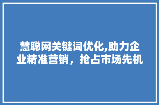 慧聪网关键词优化,助力企业精准营销，抢占市场先机 搜狗SEO