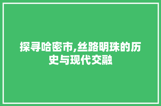 探寻哈密市,丝路明珠的历史与现代交融 必应SEO