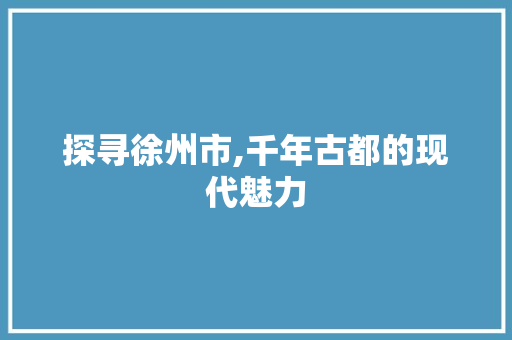 探寻徐州市,千年古都的现代魅力 网站建设公司