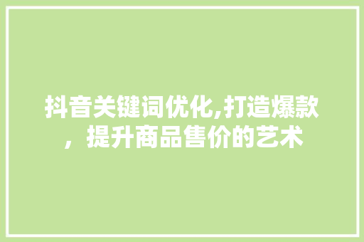 抖音关键词优化,打造爆款，提升商品售价的艺术 必应SEO