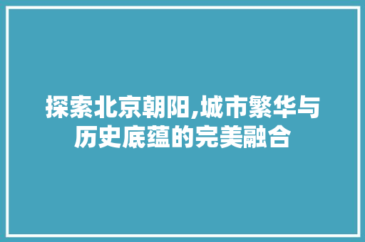 探索北京朝阳,城市繁华与历史底蕴的完美融合 网站建设公司