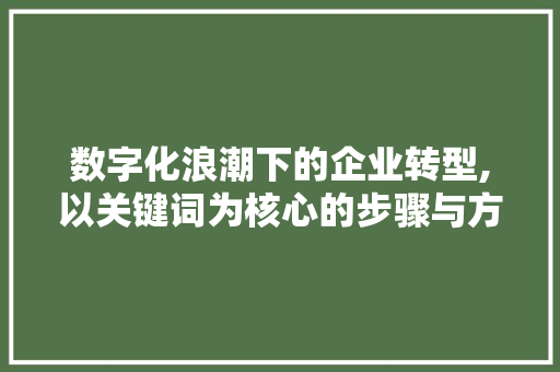 数字化浪潮下的企业转型,以关键词为核心的步骤与方法 神马SEO