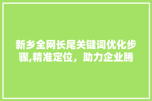 新乡全网长尾关键词优化步骤,精准定位，助力企业腾飞 网站建设公司