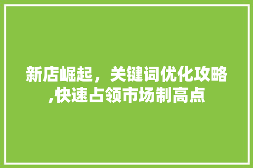 新店崛起，关键词优化攻略,快速占领市场制高点 百度SEO