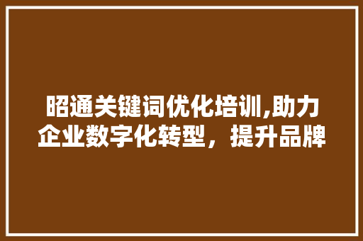 昭通关键词优化培训,助力企业数字化转型，提升品牌影响力 必应SEO