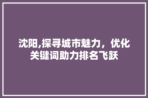 沈阳,探寻城市魅力，优化关键词助力排名飞跃 必应SEO