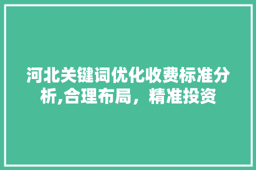 河北关键词优化收费标准分析,合理布局，精准投资 神马SEO