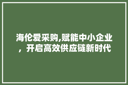 海伦爱采购,赋能中小企业，开启高效供应链新时代 必应SEO