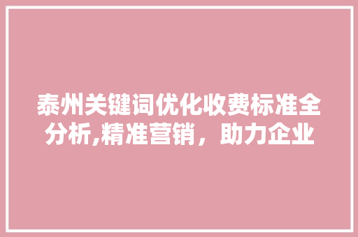 泰州关键词优化收费标准全分析,精准营销，助力企业腾飞 百度SEO