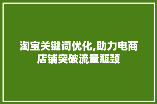 淘宝关键词优化,助力电商店铺突破流量瓶颈 搜狗SEO