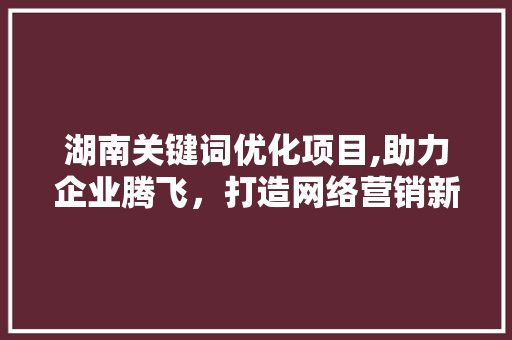 湖南关键词优化项目,助力企业腾飞，打造网络营销新格局 神马SEO