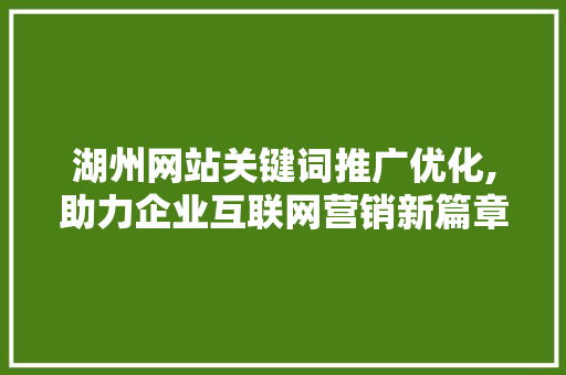 湖州网站关键词推广优化,助力企业互联网营销新篇章 搜狗SEO