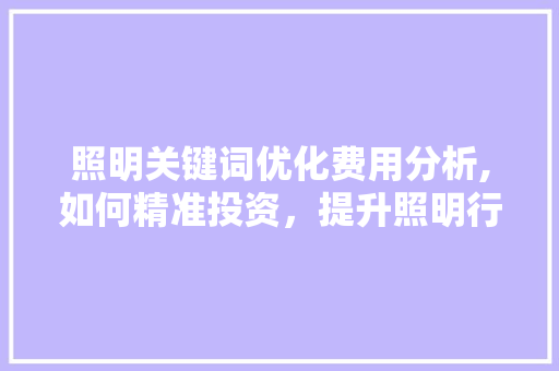 照明关键词优化费用分析,如何精准投资，提升照明行业竞争力 网站建设公司