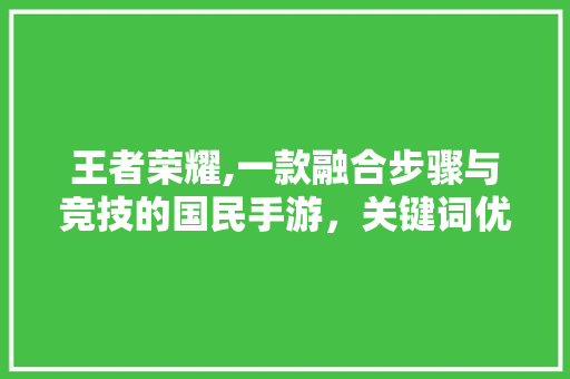 王者荣耀,一款融合步骤与竞技的国民手游，关键词优化助力品牌影响力提升 网站建设公司