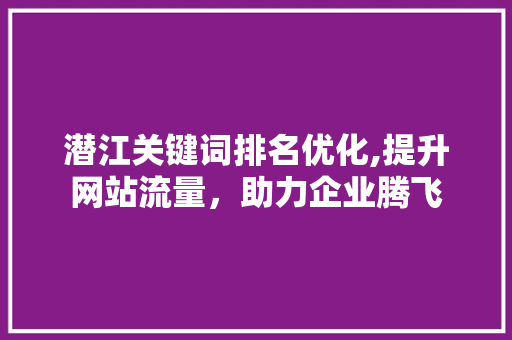 潜江关键词排名优化,提升网站流量，助力企业腾飞 必应SEO