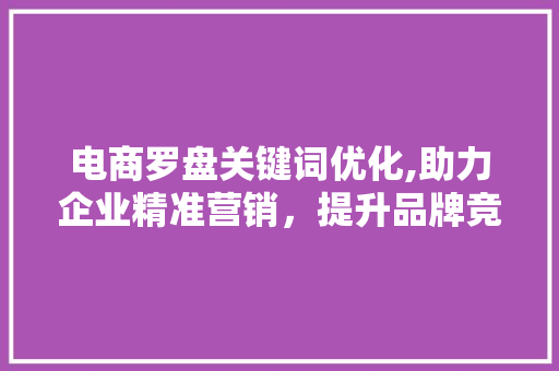 电商罗盘关键词优化,助力企业精准营销，提升品牌竞争力 网站建设公司
