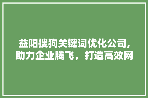 益阳搜狗关键词优化公司,助力企业腾飞，打造高效网络营销步骤 必应SEO
