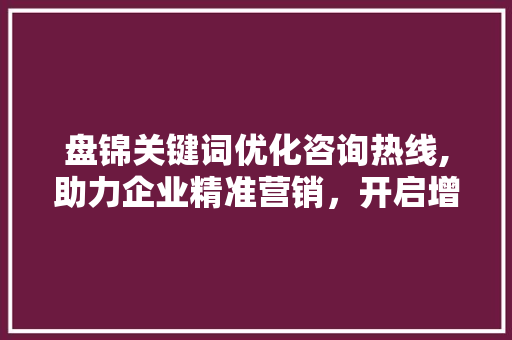 盘锦关键词优化咨询热线,助力企业精准营销，开启增长新篇章 网站建设公司