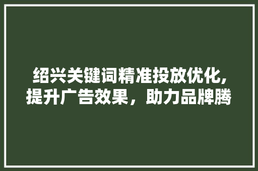 绍兴关键词精准投放优化,提升广告效果，助力品牌腾飞 必应SEO