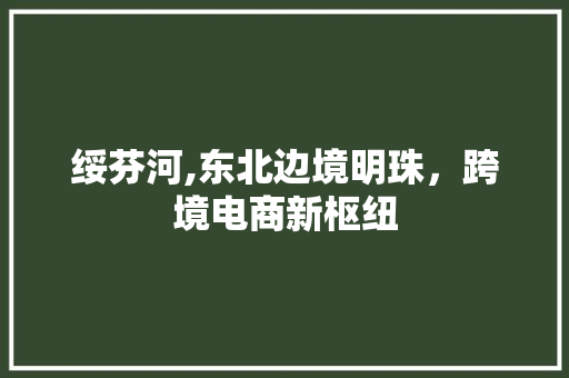 绥芬河,东北边境明珠，跨境电商新枢纽 必应SEO