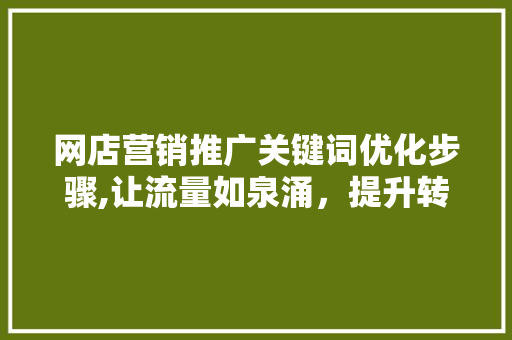 网店营销推广关键词优化步骤,让流量如泉涌，提升转化率 网站建设公司