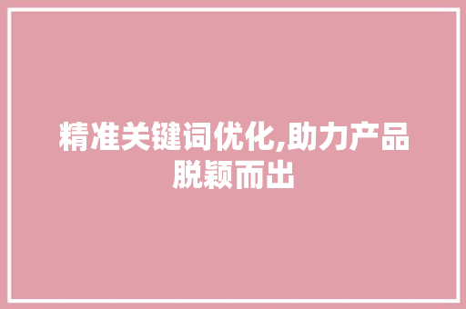 精准关键词优化,助力产品脱颖而出 百度SEO