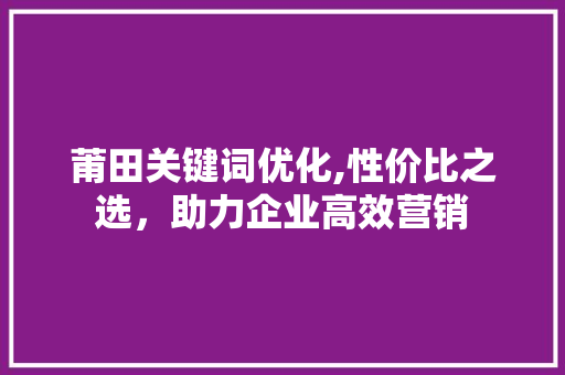 莆田关键词优化,性价比之选，助力企业高效营销