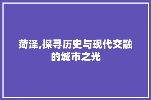 菏泽,探寻历史与现代交融的城市之光 搜狗SEO