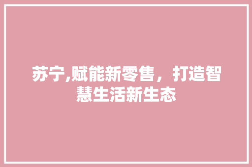 苏宁,赋能新零售，打造智慧生活新生态