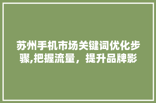苏州手机市场关键词优化步骤,把握流量，提升品牌影响力