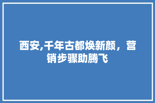 西安,千年古都焕新颜，营销步骤助腾飞