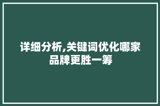 详细分析,关键词优化哪家品牌更胜一筹 百度SEO