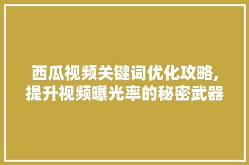 西瓜视频关键词优化攻略,提升视频曝光率的秘密武器