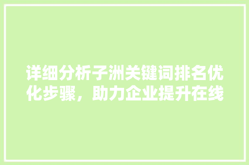 详细分析子洲关键词排名优化步骤，助力企业提升在线影响力 百度SEO