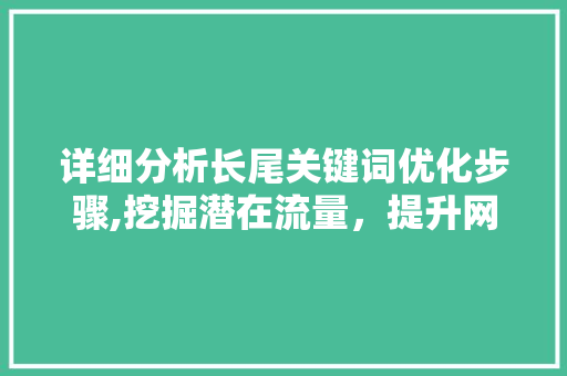 详细分析长尾关键词优化步骤,挖掘潜在流量，提升网站SEO效果