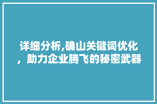 详细分析,确山关键词优化，助力企业腾飞的秘密武器 必应SEO