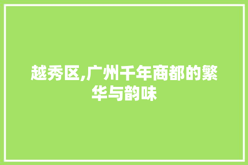 越秀区,广州千年商都的繁华与韵味 百度SEO