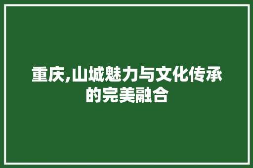 重庆,山城魅力与文化传承的完美融合 必应SEO