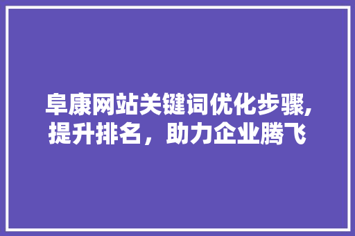 阜康网站关键词优化步骤,提升排名，助力企业腾飞