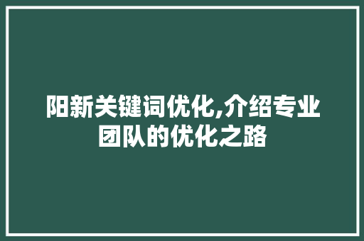 阳新关键词优化,介绍专业团队的优化之路