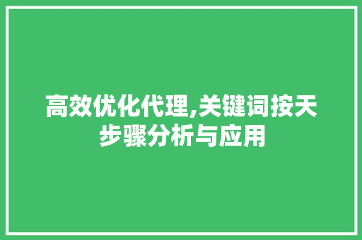 高效优化代理,关键词按天步骤分析与应用 网站建设公司