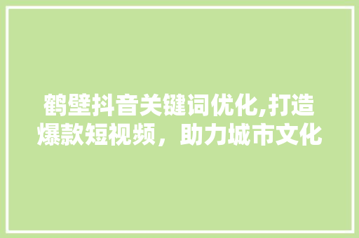 鹤壁抖音关键词优化,打造爆款短视频，助力城市文化传播 网站建设公司