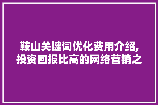 鞍山关键词优化费用介绍,投资回报比高的网络营销之路 网站建设公司