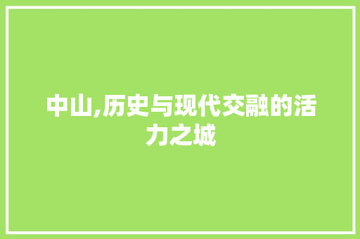 中山,历史与现代交融的活力之城 百度SEO