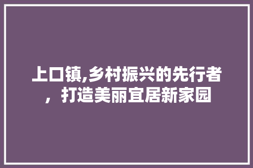 上口镇,乡村振兴的先行者，打造美丽宜居新家园 必应SEO
