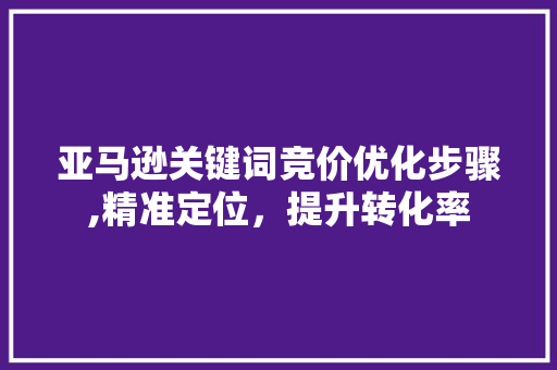 亚马逊关键词竞价优化步骤,精准定位，提升转化率 百度SEO