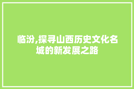临汾,探寻山西历史文化名城的新发展之路 必应SEO